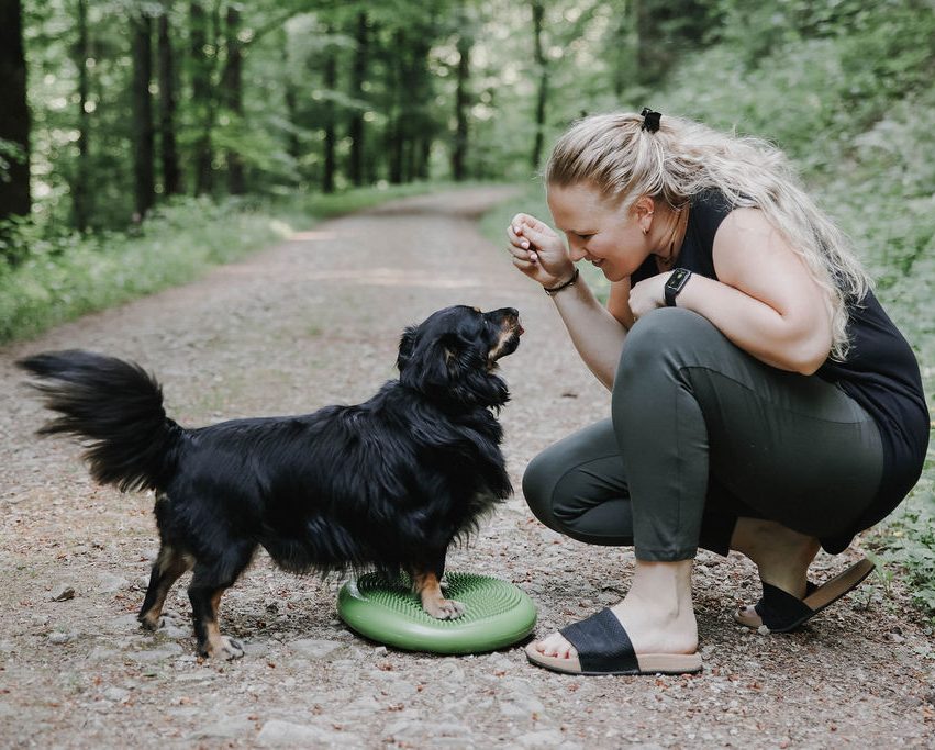Ihre Praxis für Hundephysiotherapie